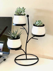 3-Tier Desktop Plant Stand