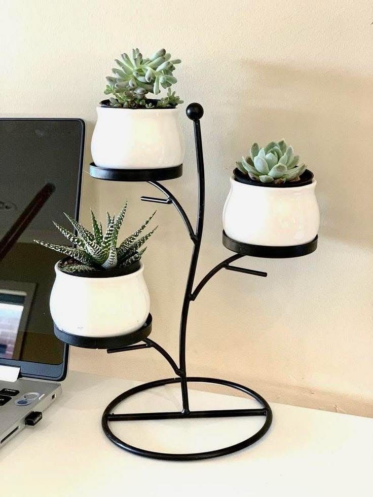 3-Tier Desktop Plant Stand